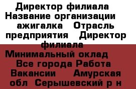 Директор филиала › Название организации ­ Zажигалка › Отрасль предприятия ­ Директор филиала › Минимальный оклад ­ 1 - Все города Работа » Вакансии   . Амурская обл.,Серышевский р-н